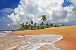 Nem szőtt fotótapéta sri lanka vad strandja 375 x 250 cm