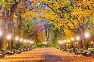 Nem szőtt fotótapéta central park ősszel 375 x 250 cm