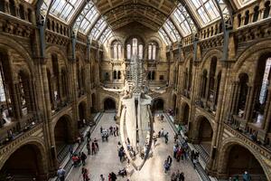 Nem szőtt fotótapéta hintze hall, london 375 x 250 cm