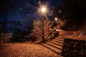 Nem szőtt fotótapéta petřín park 375 x 250 cm