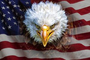Nem szőtt fotótapéta amerikai sas a zászlón 375 x 250 cm