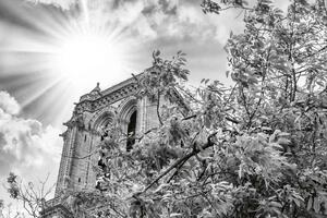 Nem szőtt fotótapéta notre dame részletek 375 x 250 cm