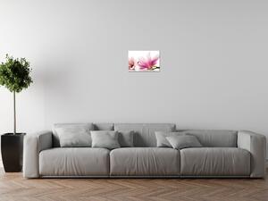 Gario Vászonkép Rózsaszín magnóliák Méret: 100 x 70 cm