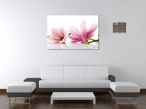 Gario Vászonkép Rózsaszín magnóliák Méret: 30 x 30 cm