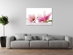 Gario Vászonkép Rózsaszín magnóliák Méret: 100 x 70 cm