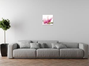 Gario Vászonkép Rózsaszín magnóliák Méret: 30 x 30 cm