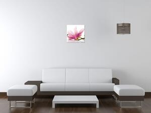 Gario Vászonkép Rózsaszín magnóliák Méret: 40 x 60 cm