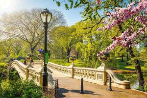 Nem szőtt fotótapéta híd a central parkban 375 x 250 cm