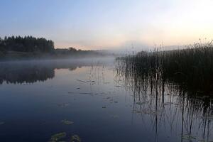 Nem szőtt fotótapéta a folyó hajnal előtt 375 x 250 cm