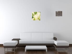 Gario Vászonkép Gyengéd tulipánok Méret: 115 x 55 cm