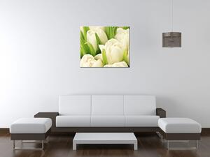 Gario Vászonkép Gyengéd tulipánok Méret: 60 x 90 cm