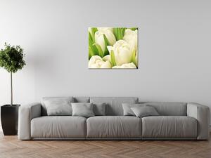 Gario Vászonkép Gyengéd tulipánok Méret: 115 x 55 cm