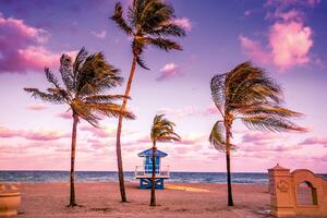 Nem szőtt fotótapéta hollywood beach 375 x 250 cm