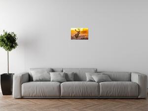 Gario Vászonkép Eros szarvas Méret: 60 x 40 cm