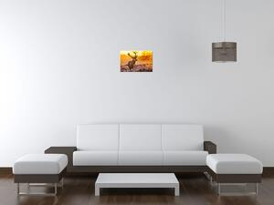 Gario Vászonkép Eros szarvas Méret: 60 x 40 cm