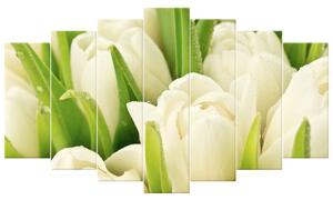 Gario Vászonkép Gyengéd tulipánok - 7 részes Méret: 210 x 150 cm