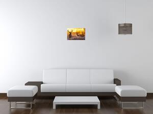 Gario Vászonkép Szarvasok a réten Méret: 60 x 40 cm