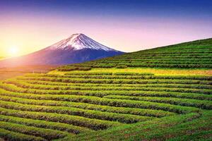 Nem szőtt fotótapéta fuji, japán 375 x 250 cm