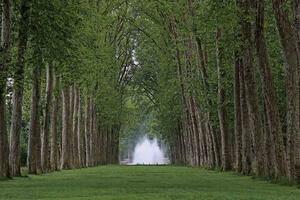 Nem szőtt fotótapéta park versailles 375 x 250 cm