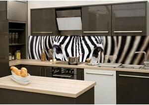 Konyhai fotótapéta - zebra 260 x 60 cm