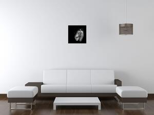 Gario Vászonkép Oroszlán az árnyékban Méret: 40 x 60 cm