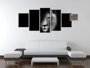Gario Vászonkép Oroszlán az árnyékban - 5 részes Méret: 150 x 105 cm