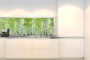 Konyhai fotótapéta - tavaszi nyírfaliget 180 x 60 cm