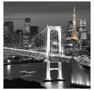 Gario Vászonkép Tokyo Bay híd Méret: 60 x 40 cm