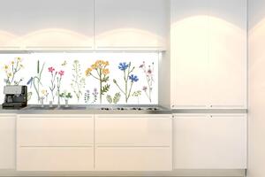 Konyhai fotótapéta - rajz a herbáriumból 180 x 60 cm