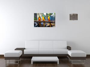 Gario Vászonkép Színes papagájok Méret: 60 x 40 cm