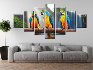 Gario Vászonkép Színes papagájok - 7 részes Méret: 210 x 150 cm