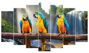 Gario Vászonkép Színes papagájok - 7 részes Méret: 140 x 80 cm