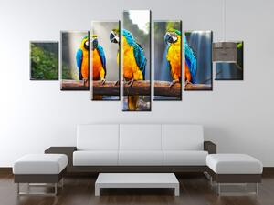 Gario Vászonkép Színes papagájok - 7 részes Méret: 140 x 80 cm