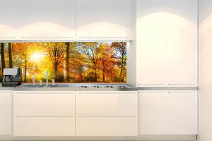 Konyhai fotótapéta - színes őszi erdő 180 x 60 cm