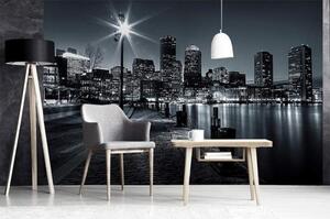 Nem szőtt fotótapéta boston 375 x 250 cm