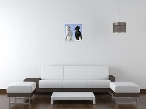 Gario Vászonkép Black and white Méret: 30 x 30 cm