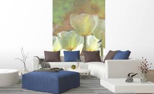 Nem szőtt fotótapéta a falra fehér tulipán absztrakt 150 x 250 cm