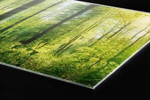 Plexi a konyhapult mögött buja erdő - 80 x 40 cm