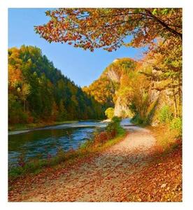 Nem szőtt fotótapéta dunajec folyó 225 x 250 cm