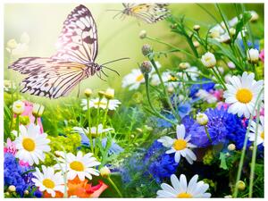 Gario Vászonkép Pillangók és virágok a gyönyöru kertben Méret: 100 x 70 cm