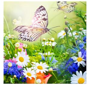 Gario Vászonkép Pillangók és virágok a gyönyöru kertben Méret: 40 x 60 cm
