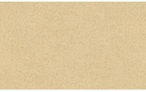 Nem szőtt tapéta falra ap longlife colours 30140-5