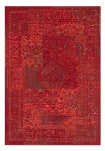 Celebration Plume piros szőnyeg, 200 x 290 cm - Hanse Home