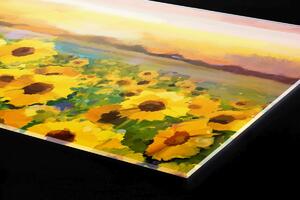 Plexi a konyhapult mögött napraforgó festmény - 60 x 60 cm + ingyenes ragasztó