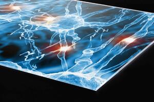 Plexi a konyhapult mögött idegszinapszisok - 240 x 60 cm