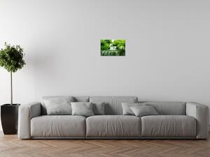 Gario Vászonkép Vízesés az esoerdoben Méret: 60 x 40 cm
