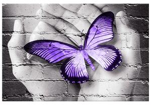 Gario Vászonkép Lila pillangó tenyéren Méret: 40 x 60 cm
