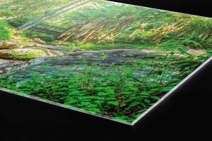 Plexi a konyhapult mögött botanikus kert - 60 x 60 cm