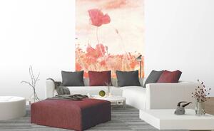 Nem szőtt fotótapéta a falra absztrakt pipacsok 150 x 250 cm