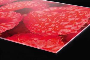 Plexi a konyhapult mögött málna - 60 x 60 cm